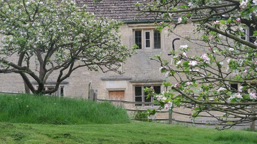View of the front door of the Manor House from the orchard, with branches of blossom coming into view